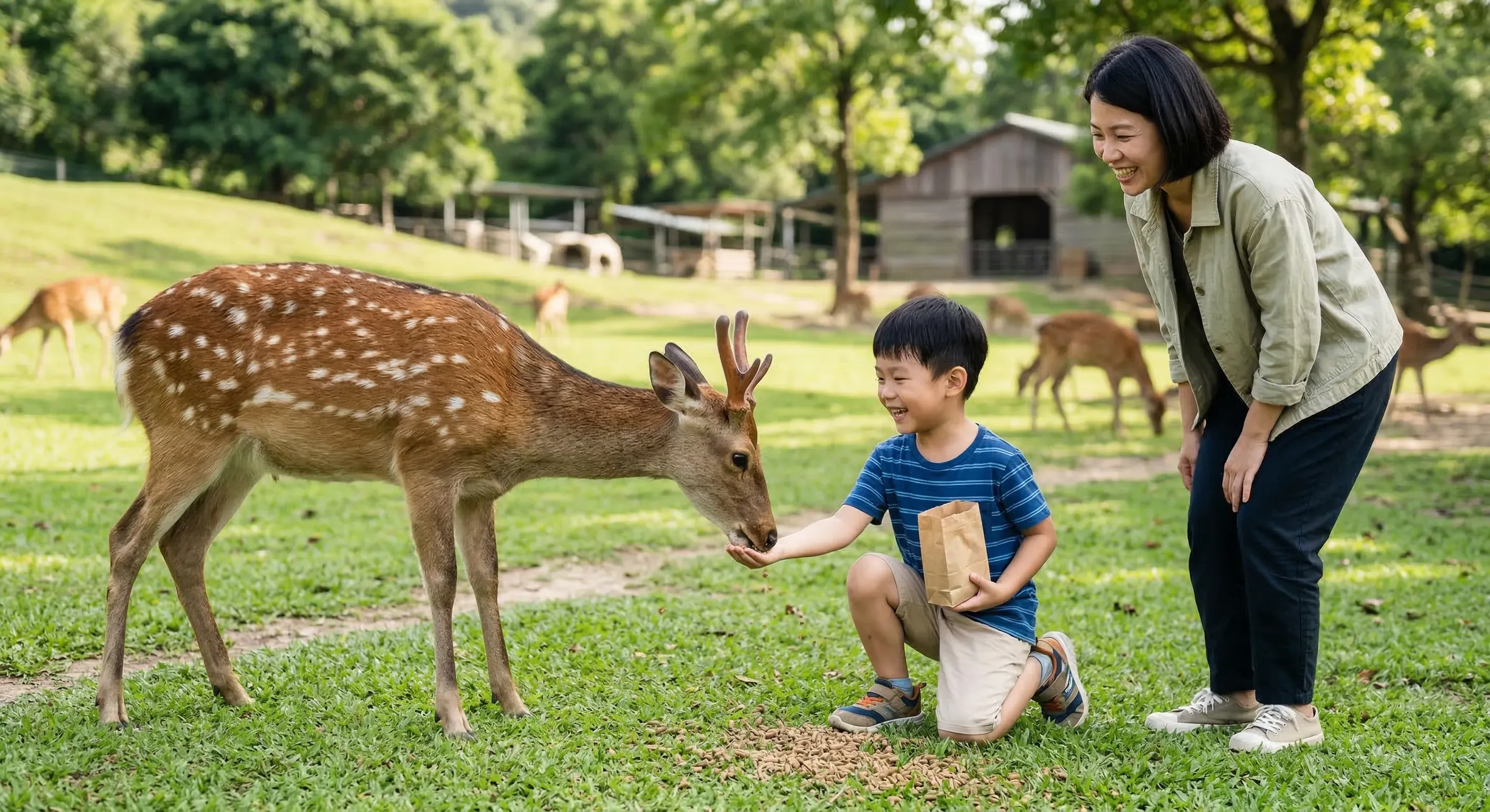 鹿境Paradise of Deer餵食水豚